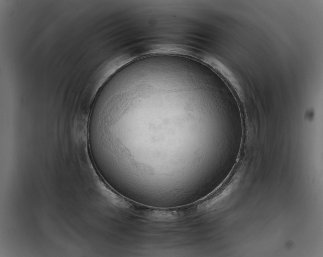 X0000100481049200806201625