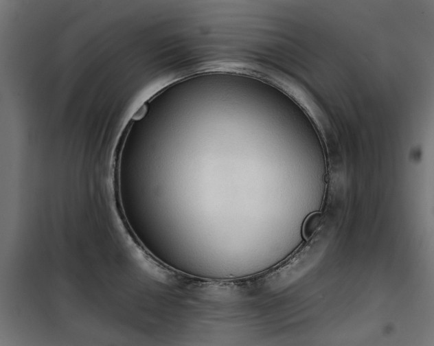 X0000100481050200806201625
