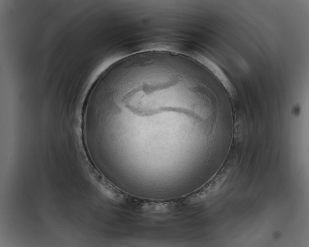 X0000100481051200806201625