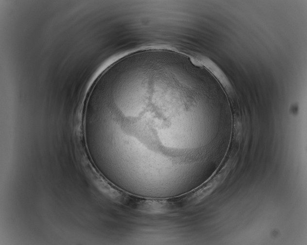 X0000100481052200806201625