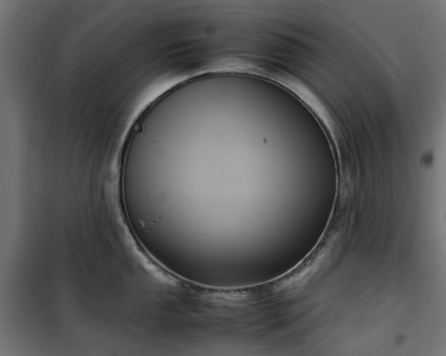 X0000100481053200806201625