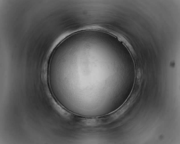 X0000100481054200806201625