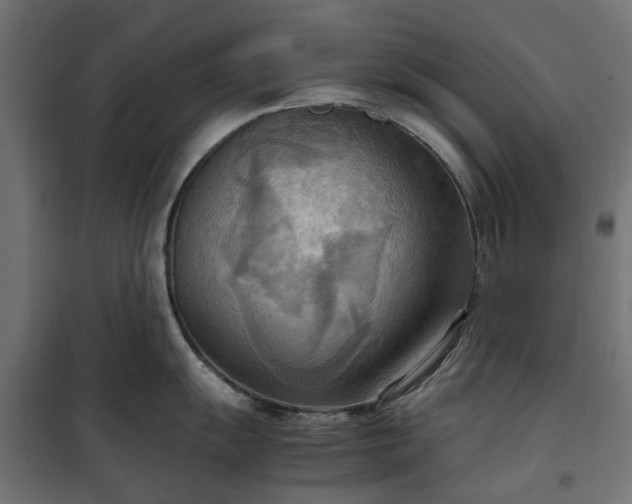 X0000100481055200806201625