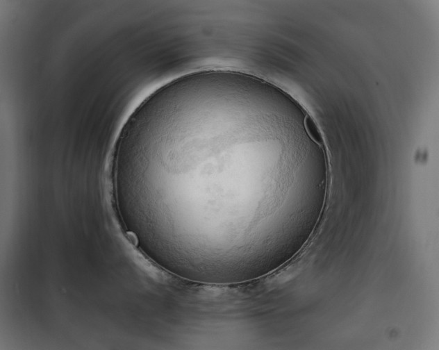 X0000100481056200806201625