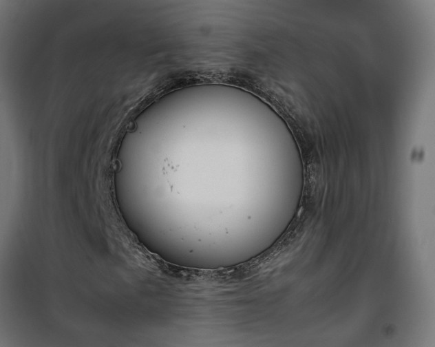 X0000100481057200806201624
