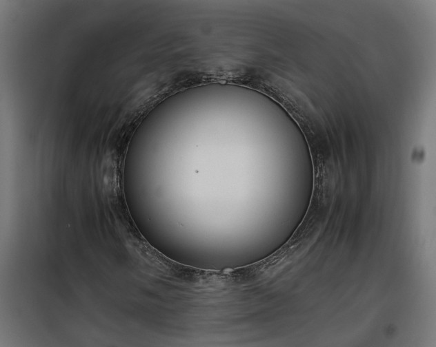X0000100481058200806201624