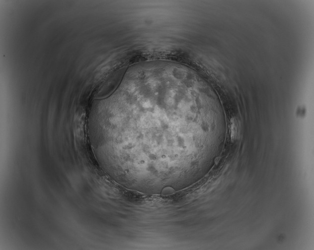 X0000100481059200806201624
