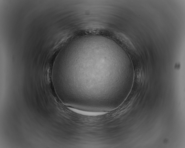 X0000100481060200806201624