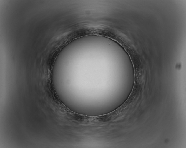 X0000100481061200806201624