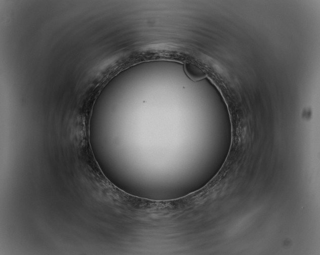 X0000100481062200806201624