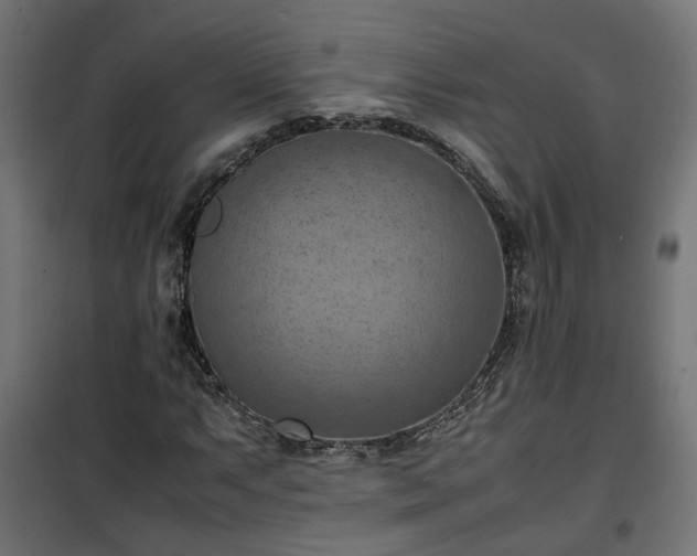 X0000100481063200806201624