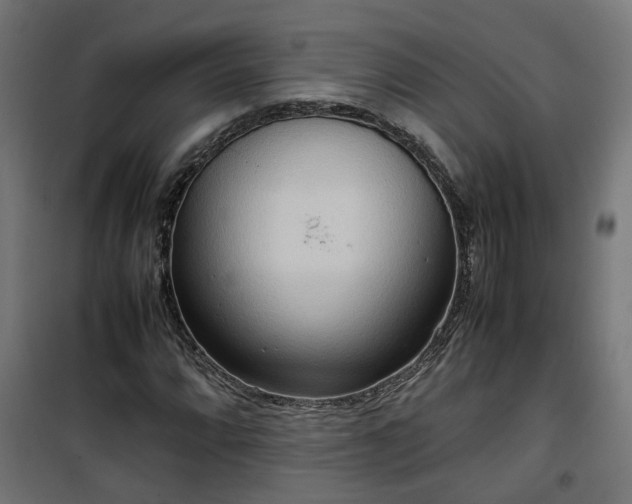 X0000100481064200806201624
