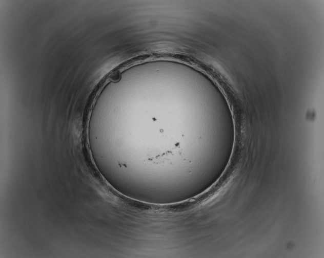 X0000100481065200806201624
