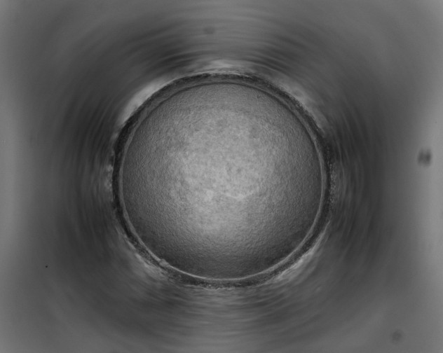 X0000100481066200806201624
