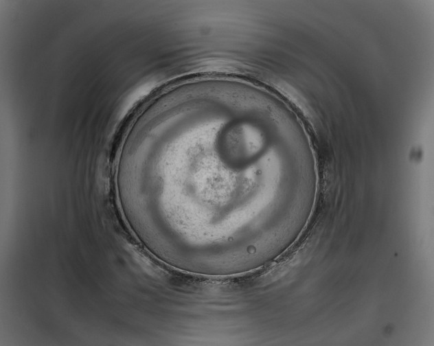 X0000100481067200806201624