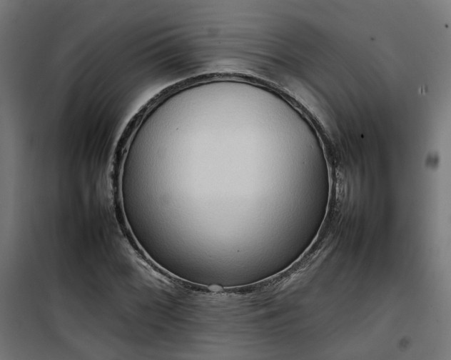 X0000100481068200806201624