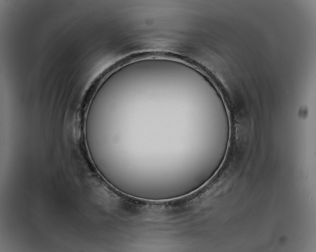 X0000100481069200806201624
