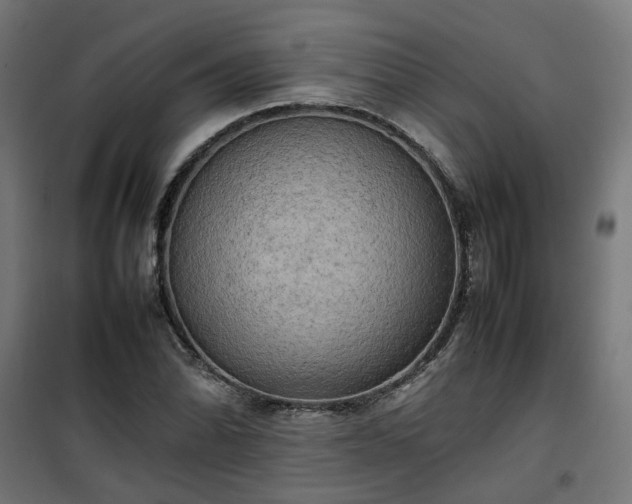 X0000100481070200806201624