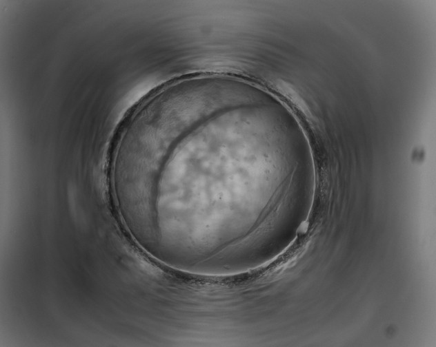 X0000100481071200806201624