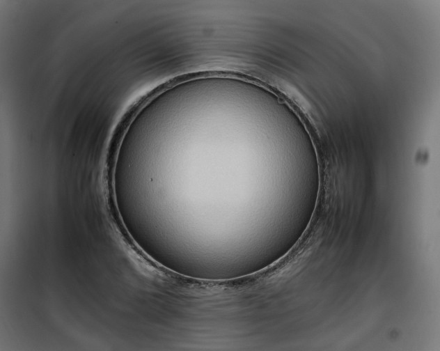 X0000100481072200806201624