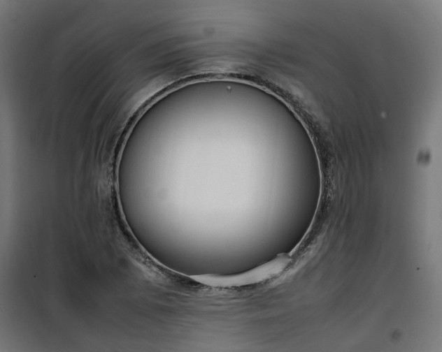 X0000100481073200806201624