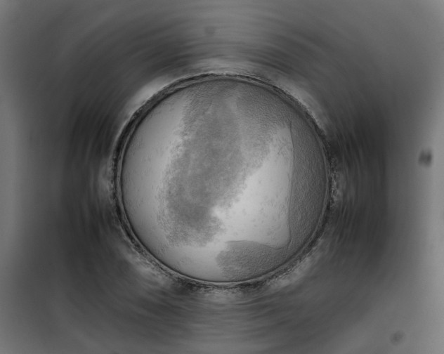 X0000100481074200806201624