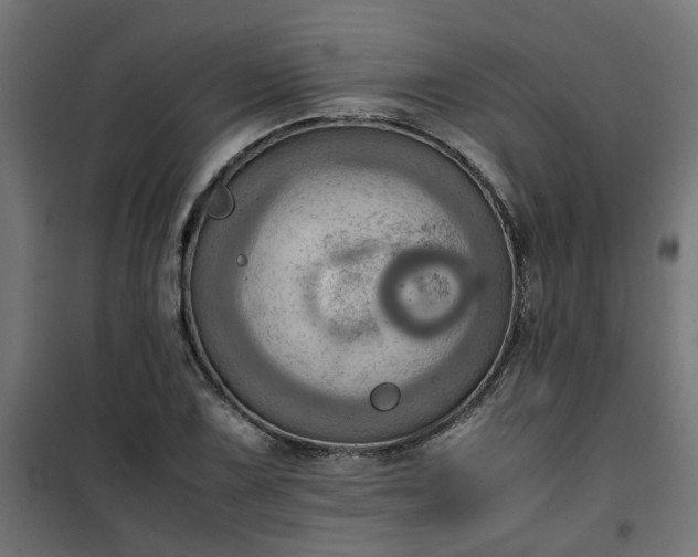X0000100481075200806201624