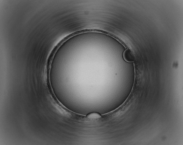 X0000100481076200806201624