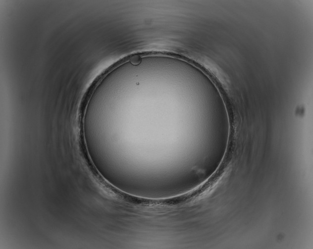X0000100481077200806201624