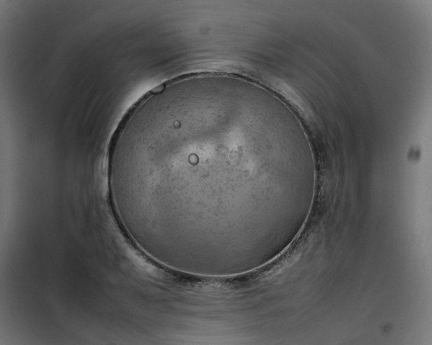 X0000100481079200806201624