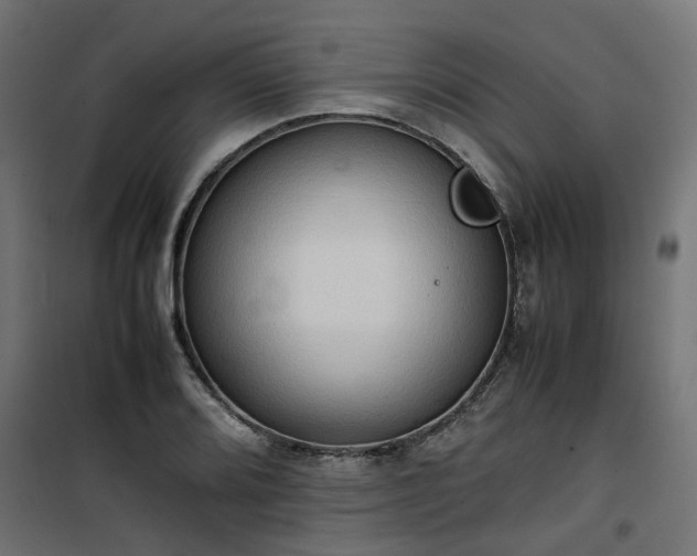 X0000100481080200806201624