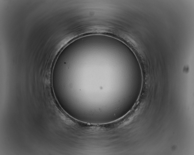 X0000100481081200806201624