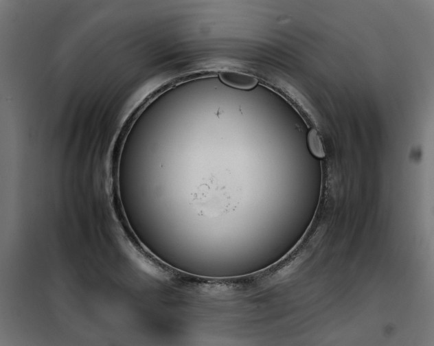 X0000100481082200806201624