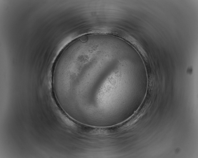 X0000100481083200806201624