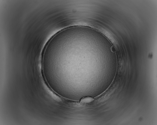 X0000100481084200806201624