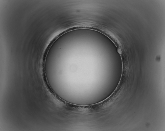 X0000100481085200806201624