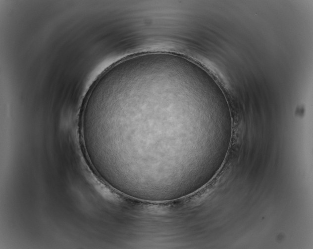 X0000100481086200806201624