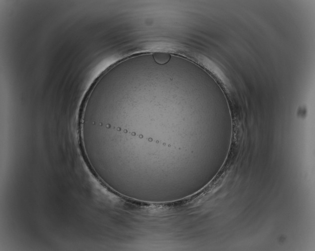 X0000100481087200806201624