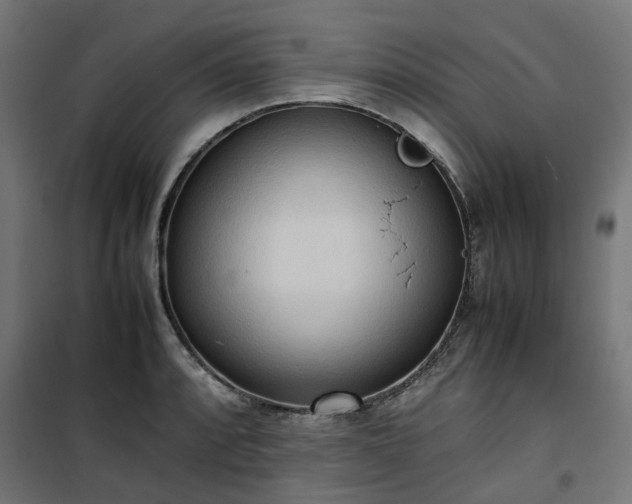 X0000100481088200806201624
