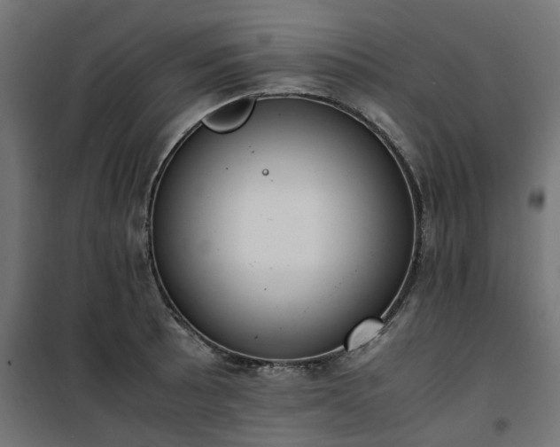 X0000100481089200806201624