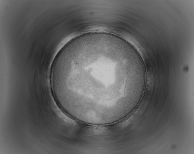 X0000100481090200806201624