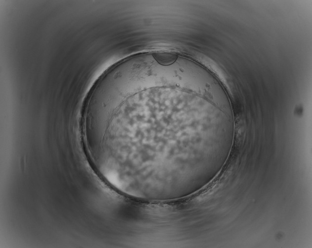 X0000100481091200806201624