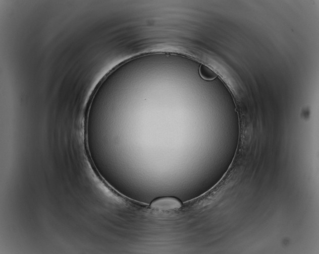 X0000100481092200806201624