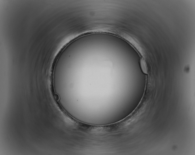 X0000100481093200806201624