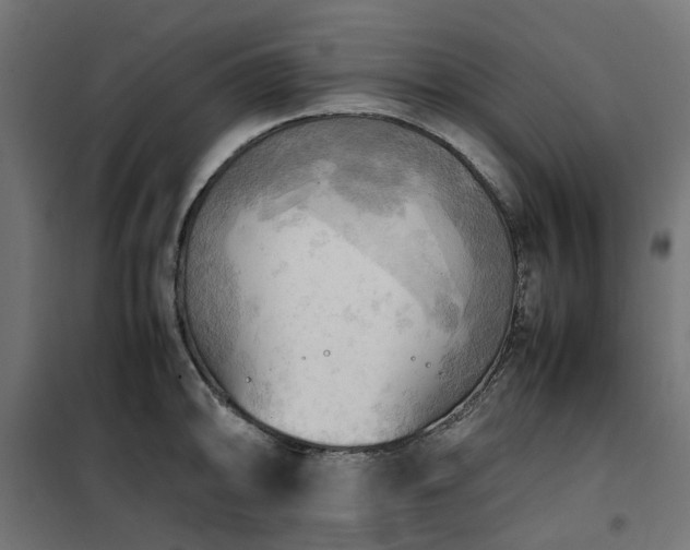 X0000100481094200806201624