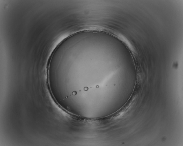 X0000100481095200806201624