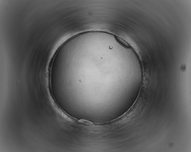 X0000100481096200806201624