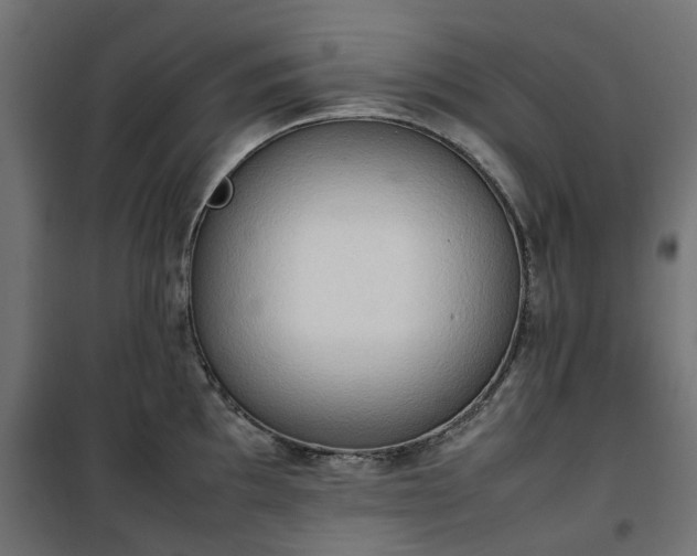 X0000100481097200806201624