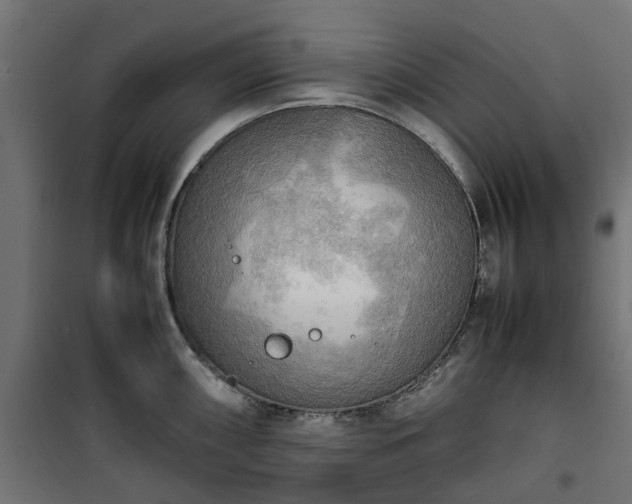X0000100481098200806201624