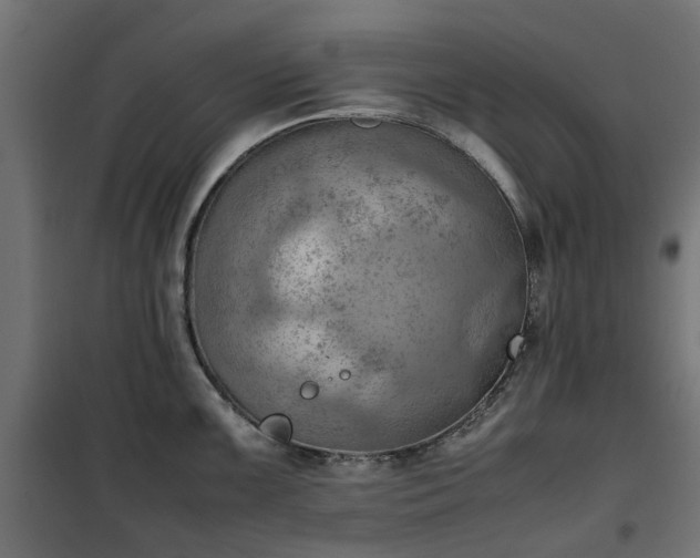 X0000100481099200806201624